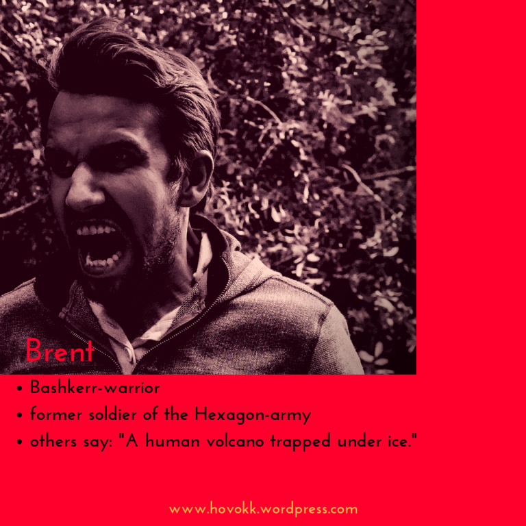 introduce HOVOKK_ Brent.png