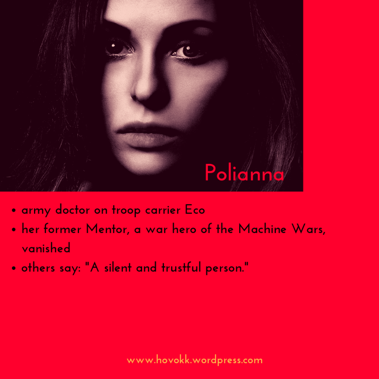 4. introduce HOVOKK_ Polianna