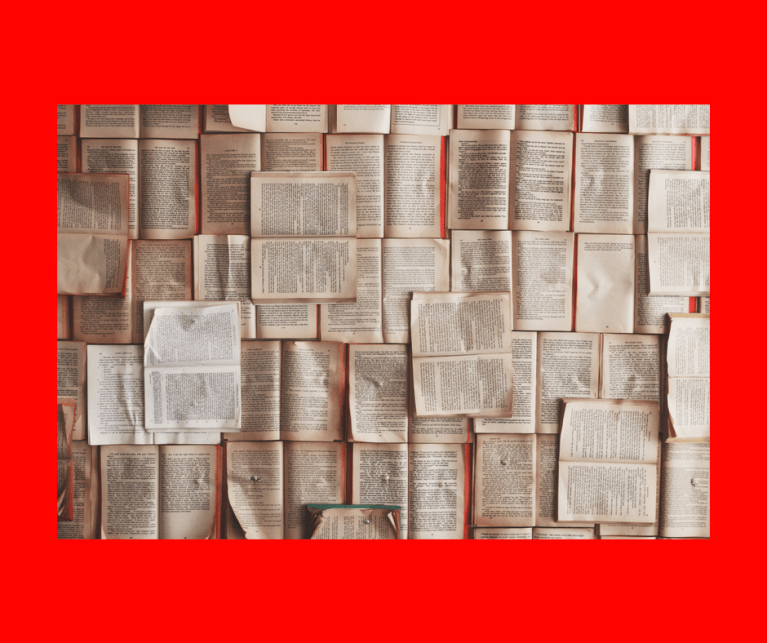 judge book cover - bukoko aktion II