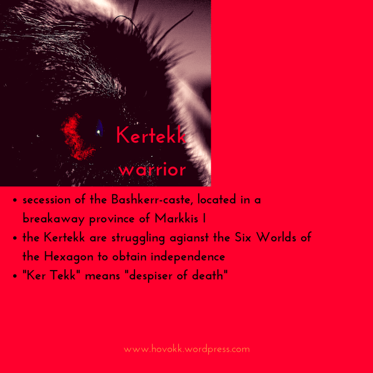 7. introduce HOVOKK_ Kertekk (2)